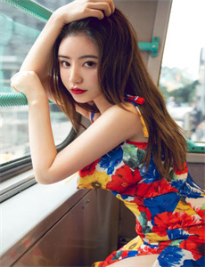 《乘龙怪婿第四部-干干影院》